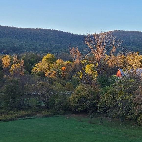 Meet your Posher, Traci - Picture 1 of 1